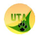 uta
