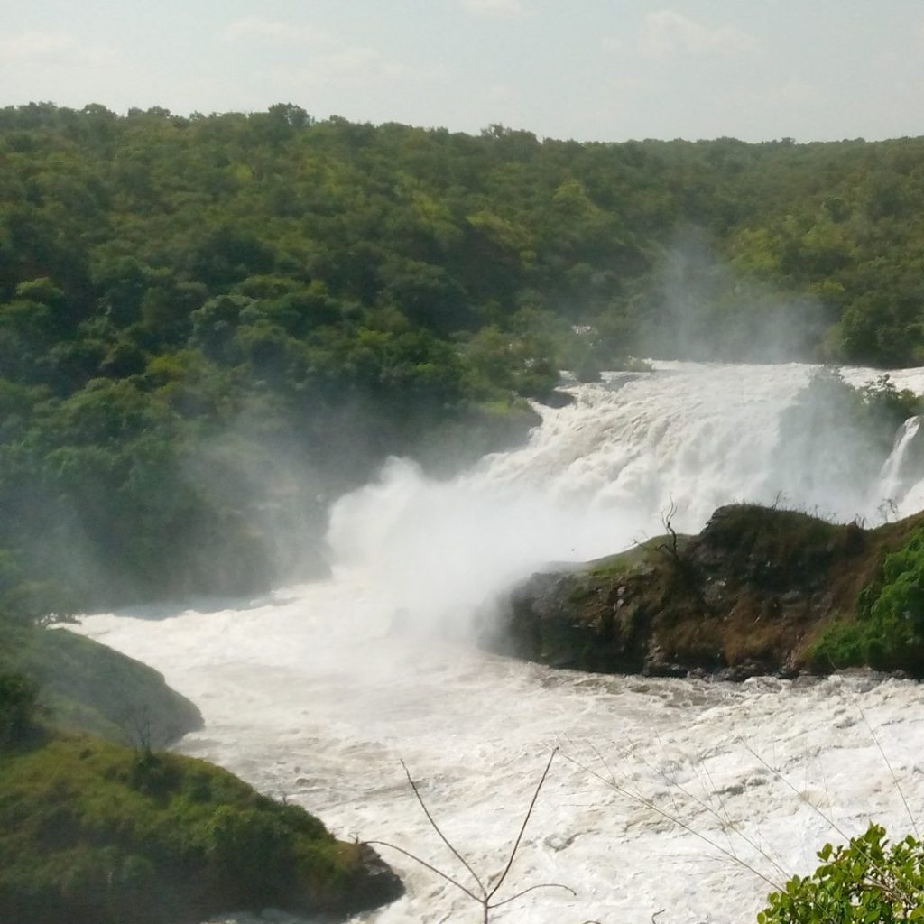 Murchison Falls, also known as Kabalega Falls, is the most powerful waterfall in the world, where the Nile River is forced through a narrow 7-meter gorge and plunges 43 meters with incredible force.